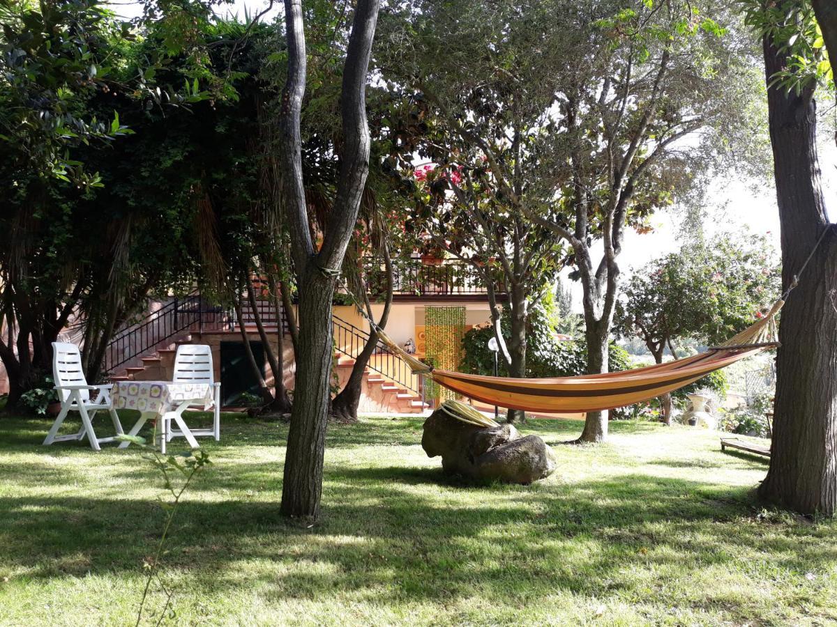 B&B Is Murdegus Tortoli Bagian luar foto